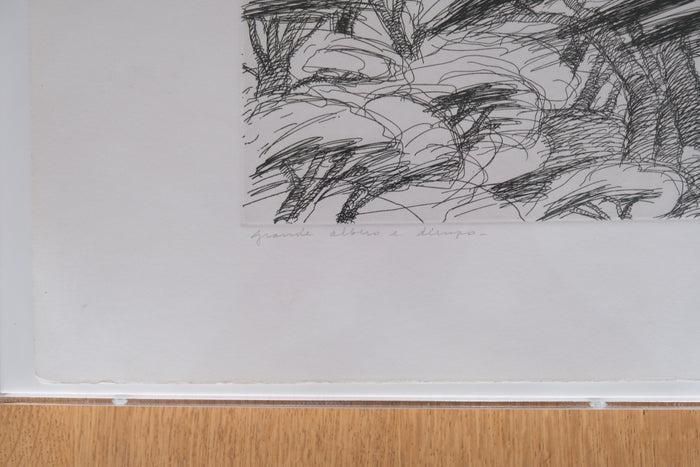 銅版画 ミケーレ デ ルッキ サイン入 WWW_USTAUSTRALIA_COM_AU