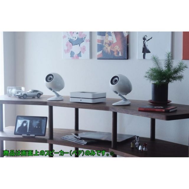 デンソーテン ECLIPSE(イクリプス) TD307MK3 ホワイト Pair（ペア