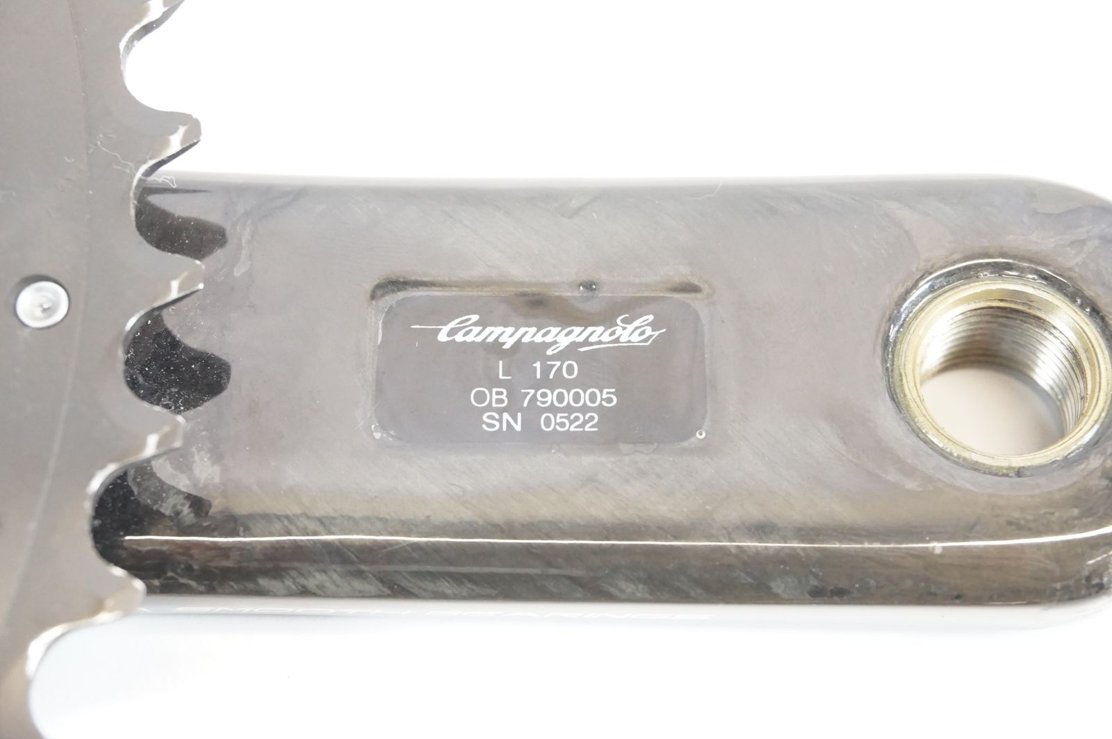 CAMPAGNOLO カンパニョーロ