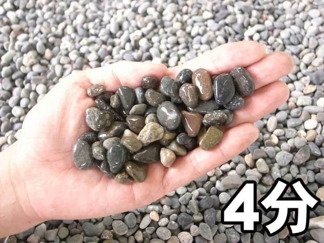1分|2分|3分|4分 フィリピン産