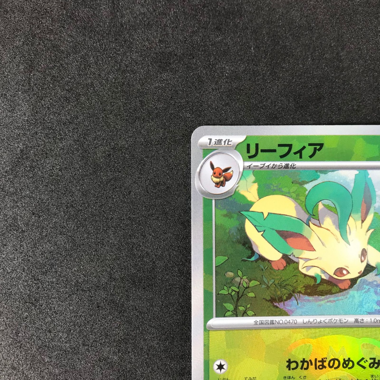 ☆ポケモンカードゲーム スカーレット＆バイオレット テラスタル