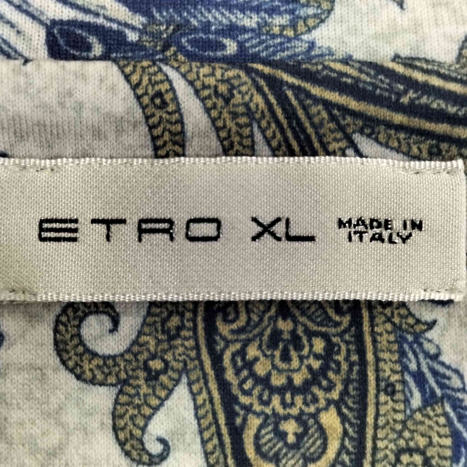 エトロ ETRO ペイズリー柄 コットン Vネック Tシャツ メンズ import