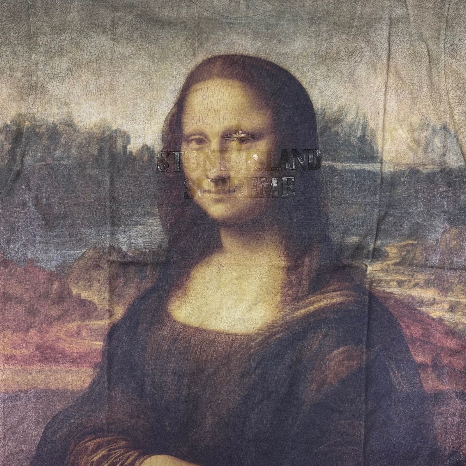 未使用品 Supreme × STONE ISLAND S/S Top Mona Lisa モナリザ T