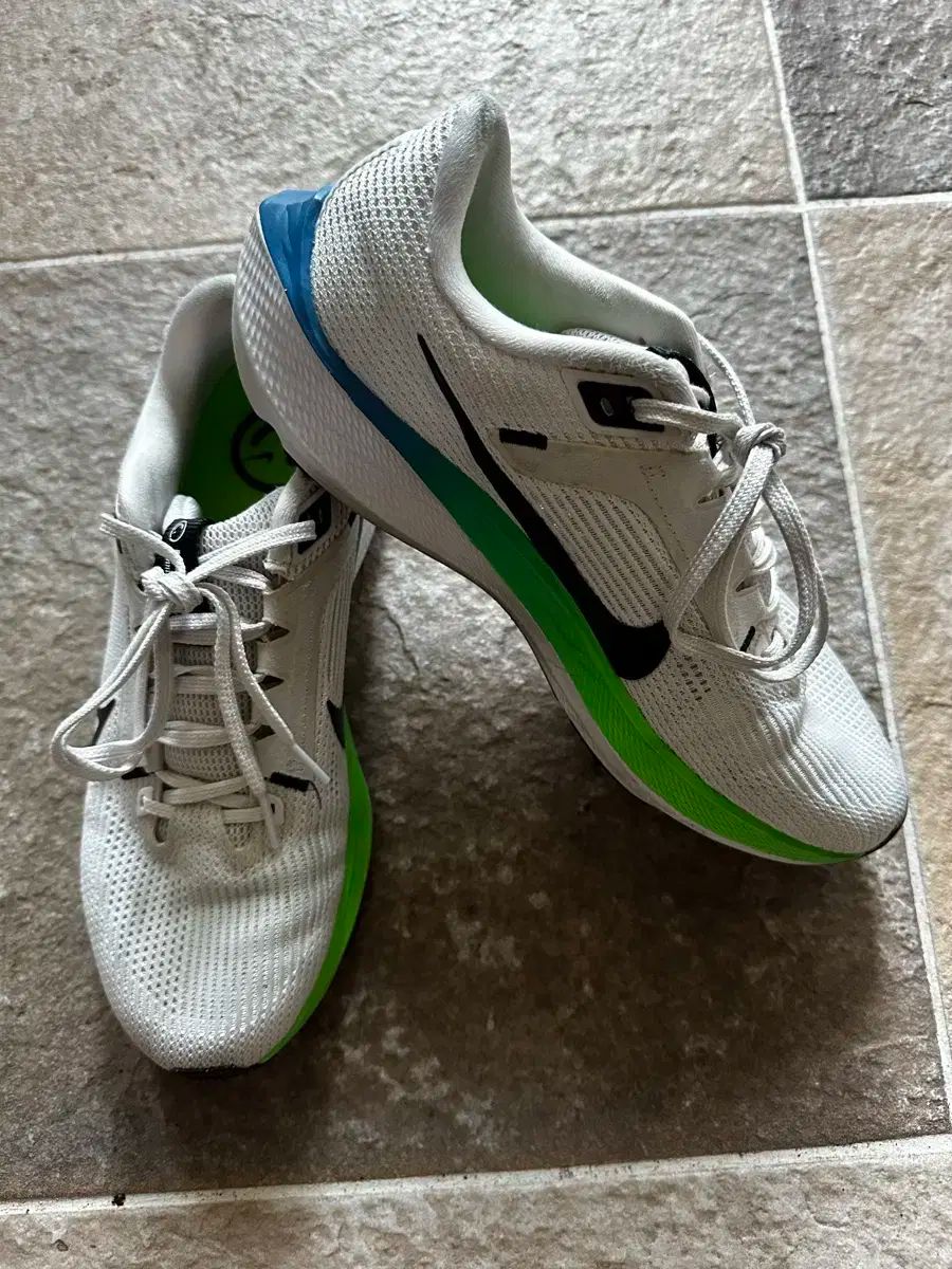 ナイキ ペガサス 40 ランニングシューズ 260