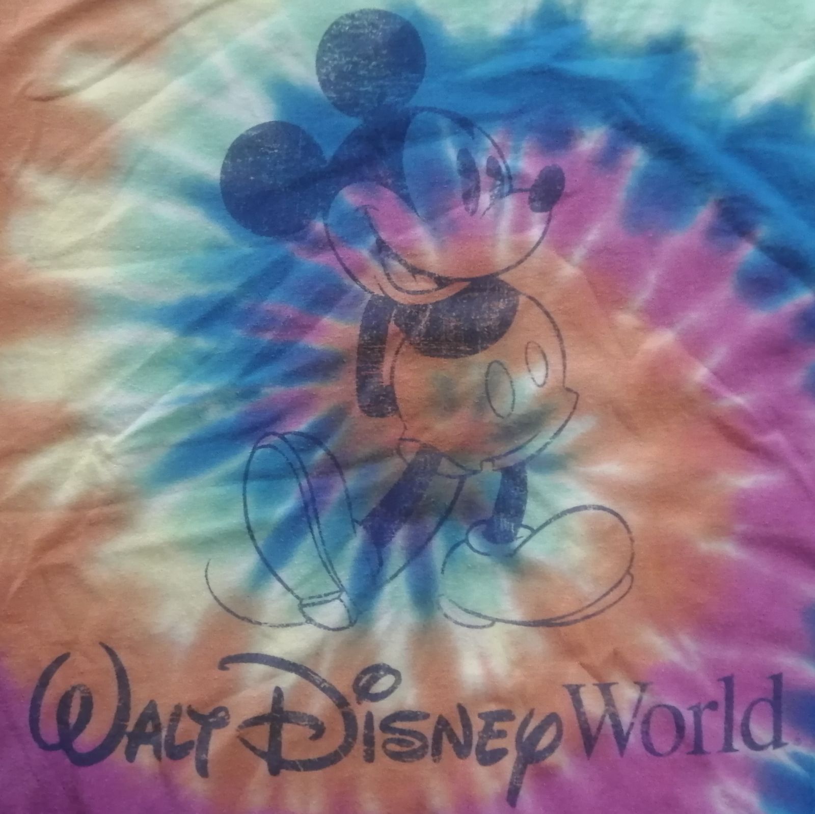 Hanes ヘインズ BEEFY-T Disney Parks ミッキーマウス「WALT DISNEY