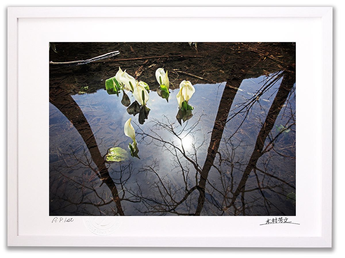 モナリザ 無垢木製フレーム肖像画55×73 楽天市場】モナリザ フレームの