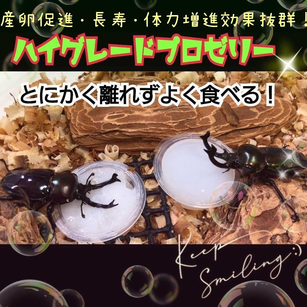 高品質！ハイグレードプロゼリー【100個】産卵促進・長寿・体力
