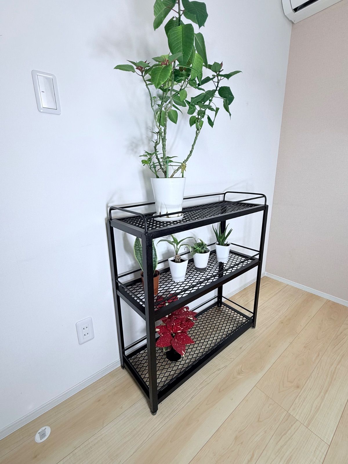 鉄製 アイアンシェルフ 1段 植物棚 アガベ 多肉植物 受注生産 鉄製