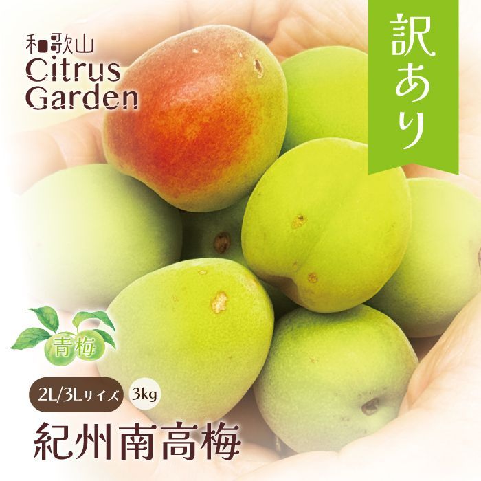 紀州南高梅 追熟梅 優品・良品 2L・3L 5kg 送料込み 食品