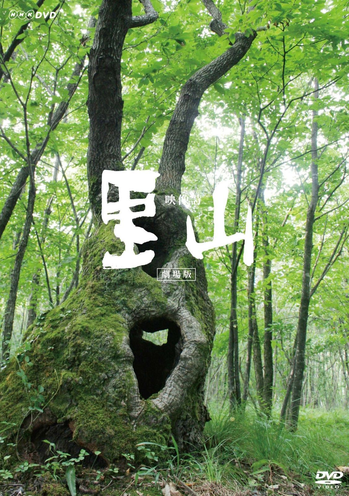 映像詩 里山~劇場版~ [DVD]