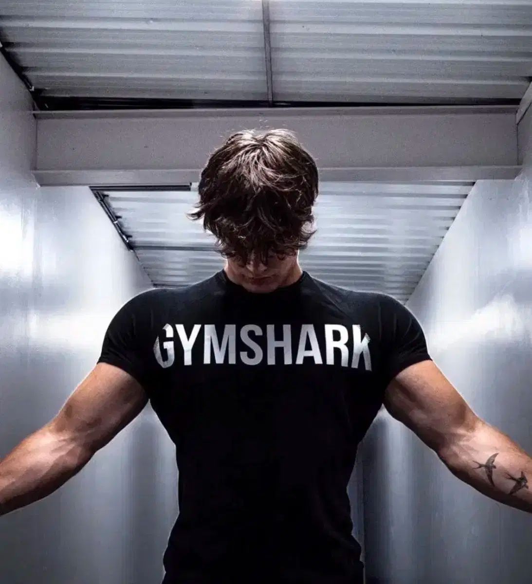 ジムシャーク マッスルフィット Tシャツ XL