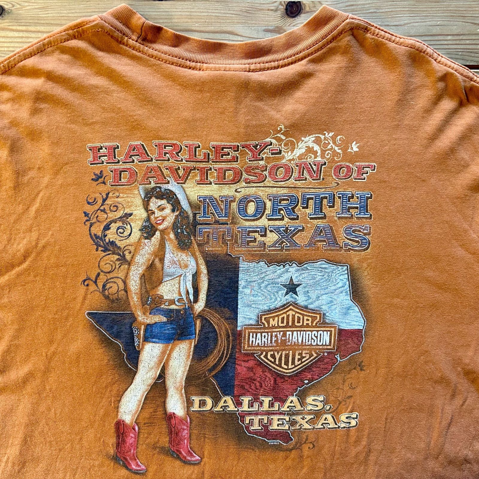 ハーレーダビッドソン 袖ロゴ　バックプリント　ロンT HARLEY-DAVIDSON ロゴロンT 袖プリバックプリント長袖Tシャツ | 古着屋 Uan