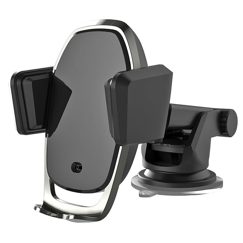 The Asian Arowana by Goh & Chua