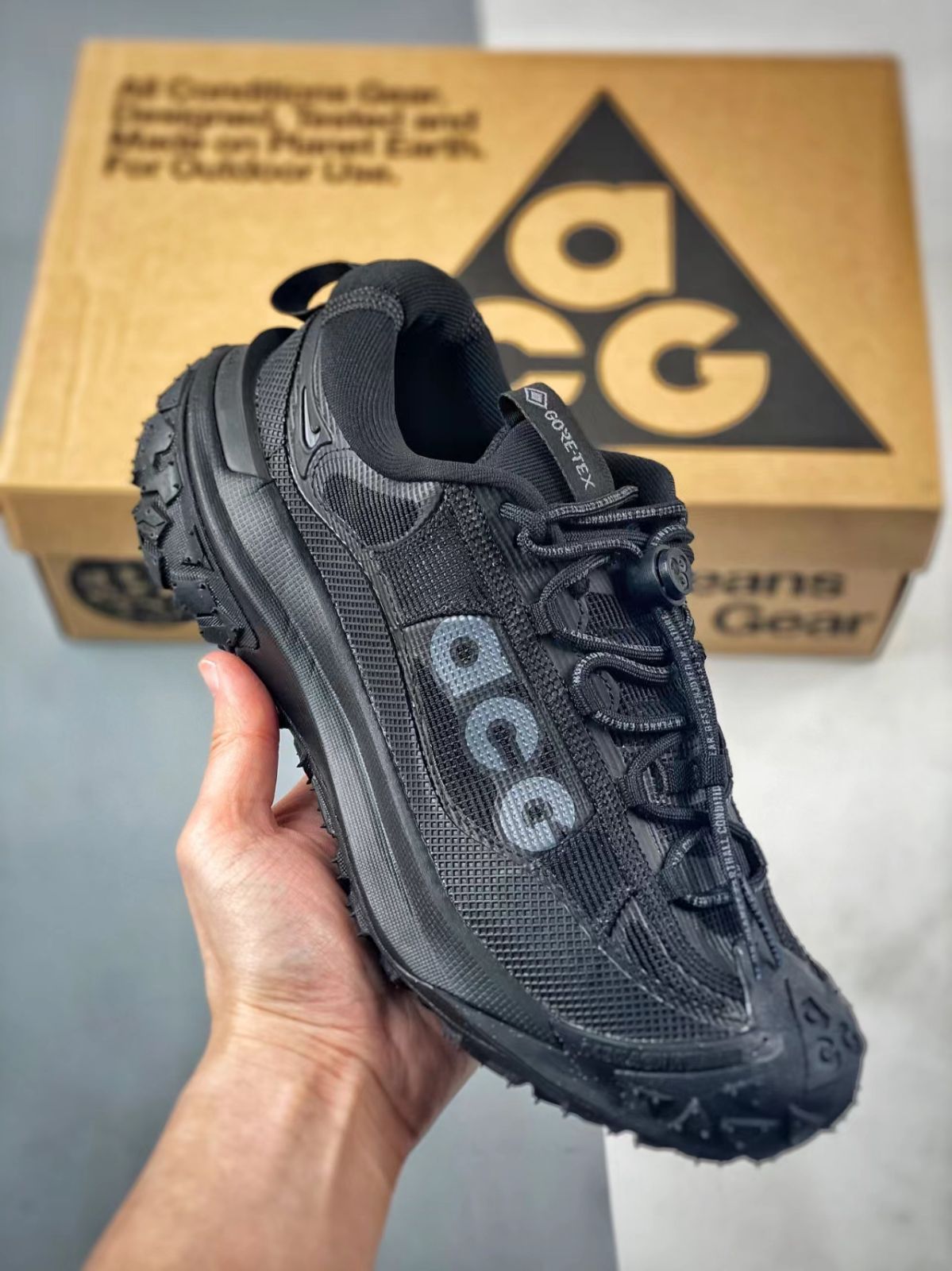 Nike ACG Mountain Fly 2Low 'Black'