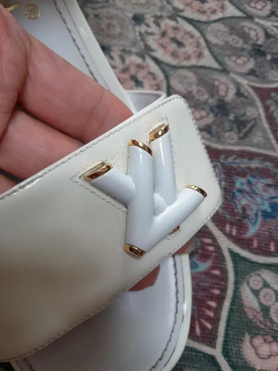 本物