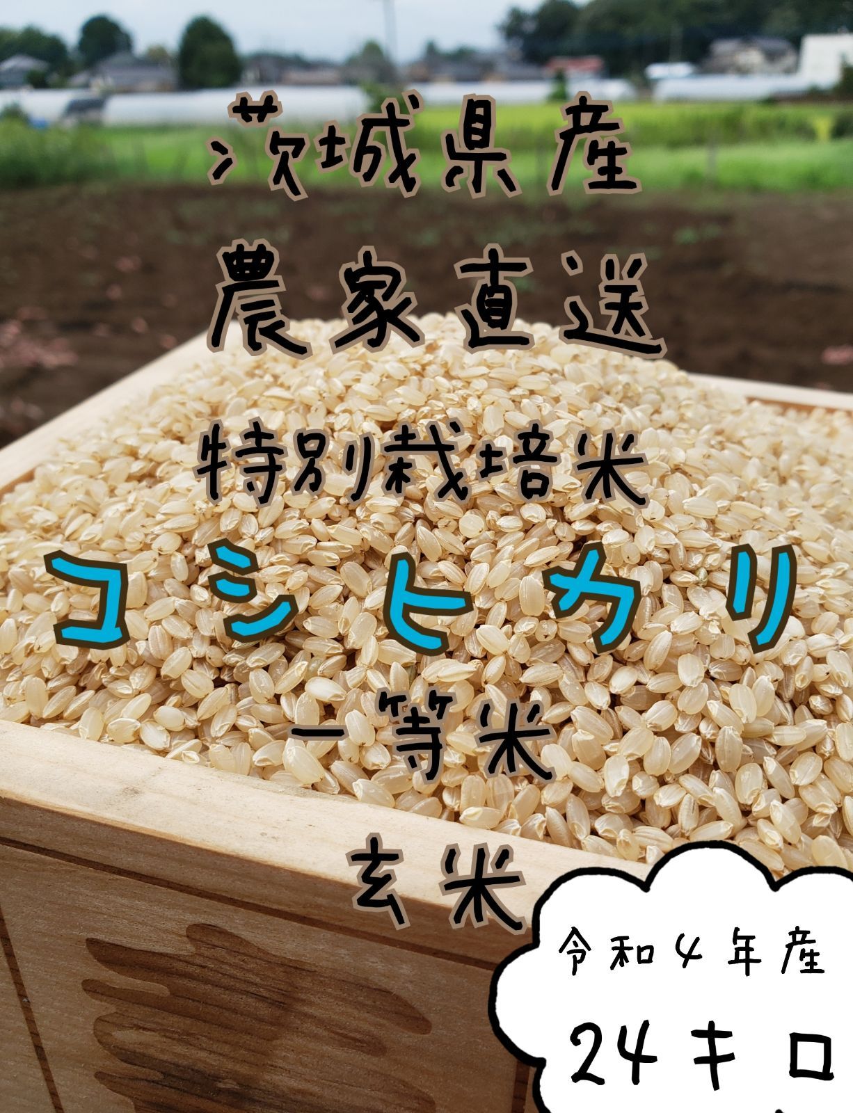 新米 コシヒカリ24キロ 玄米 白米 茨城県産 令和4年 www.ch4x4.com