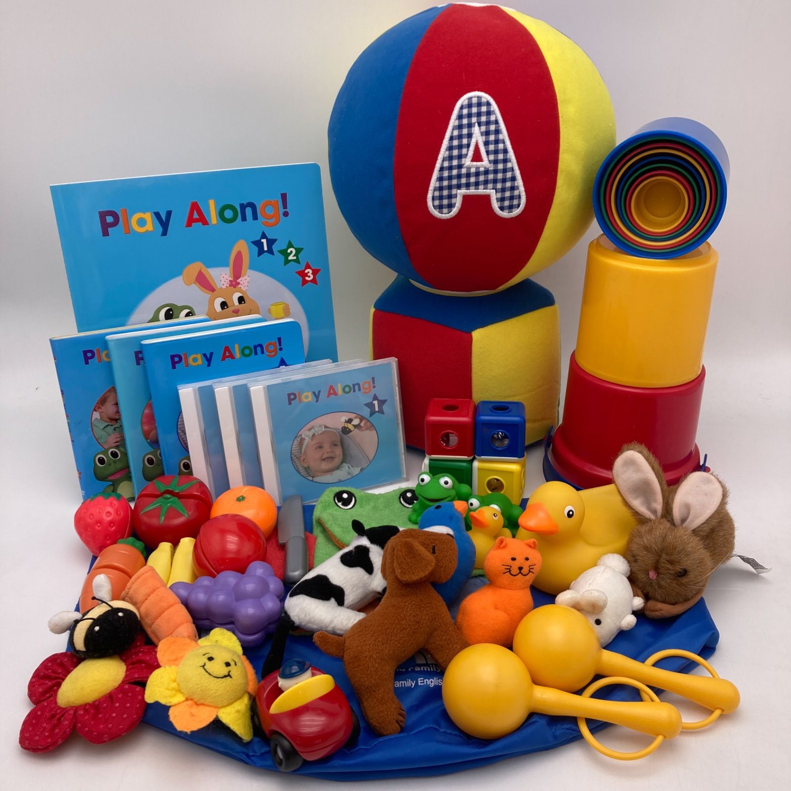 ディズニー ワールドファミリー DWE プレイアロング 2018年購入 DWE