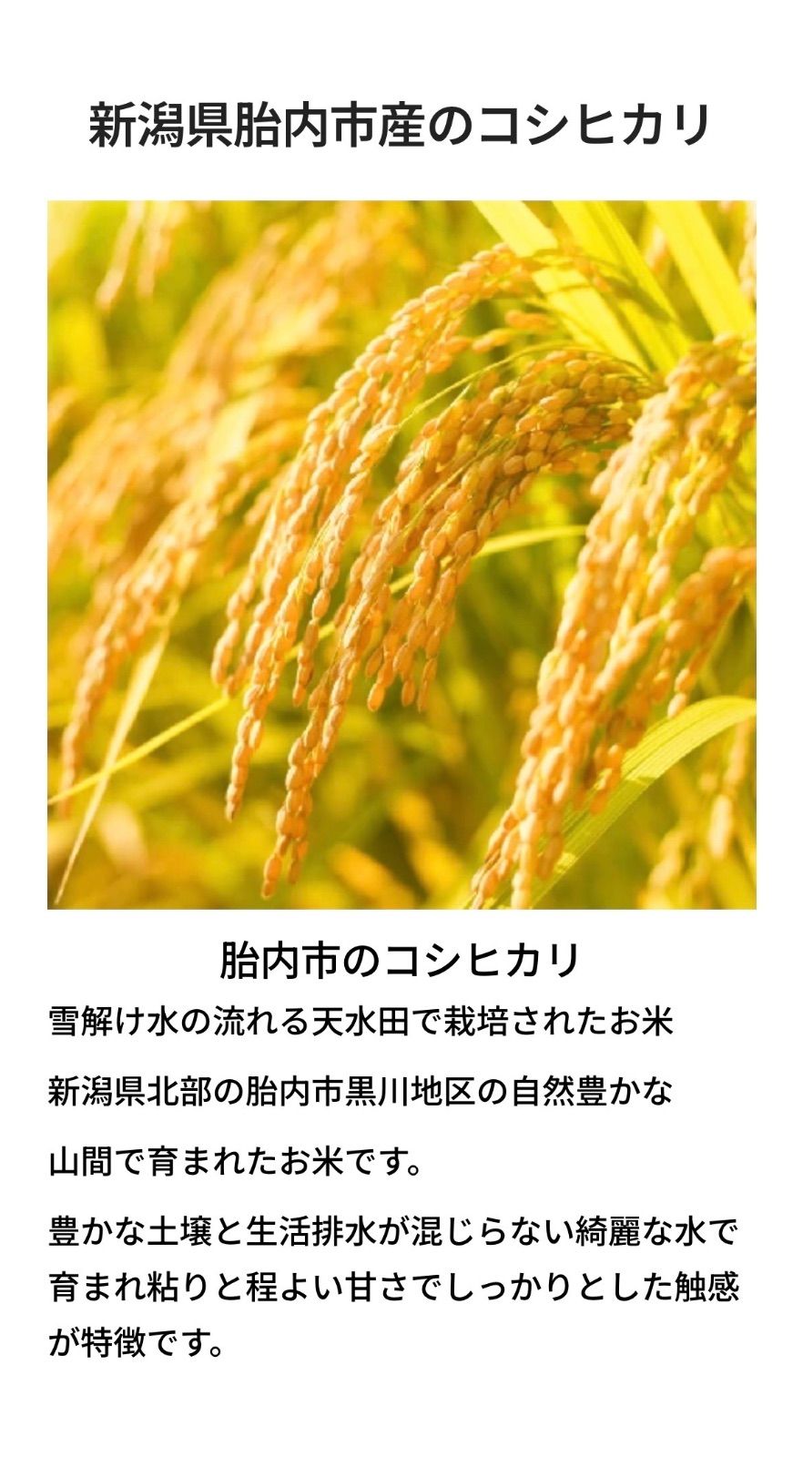 新潟県胎内市産コシヒカリ玄米30kg
