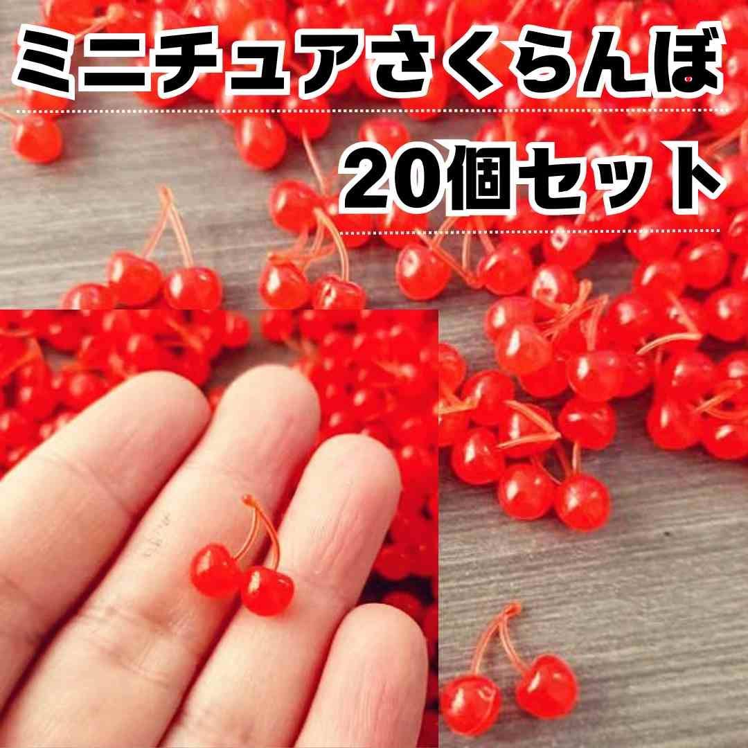 ミニチュア さくらんぼ ハンドメイド 双子 デコ 極小 チェリー 20個セット フェイクフルーツ サンプル ドールハウス - メルカリ