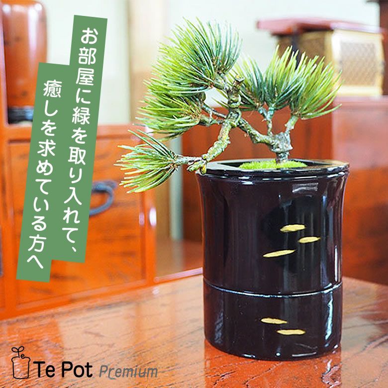 能面　おたふく　色紙画　女面　涙ぼくろ　魔除け　英彩 能面 ストア おたふく 色紙画 女面 涙ぼくろ 魔除け 英彩 2026年最新