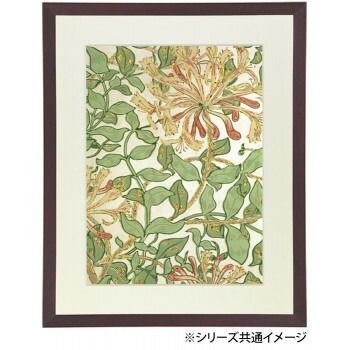 デッサン額 木製フレーム 桜平型 セピア 四ツ切424×348 アクリル