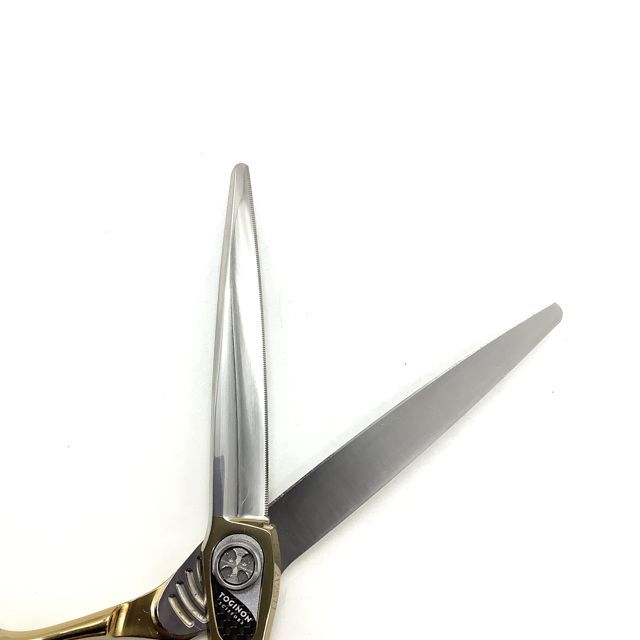 トギノン Dr.シャーク 6.1インチ スーパーブラント トギノン Dr.シャーク 6.1インチ スーパーブラント 【公式通販】