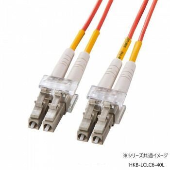 サンワサプライ メガネ型光ファイバケーブル マルチ62.5μm LC×2-LC×2 40m HKB-LCLC6-40L