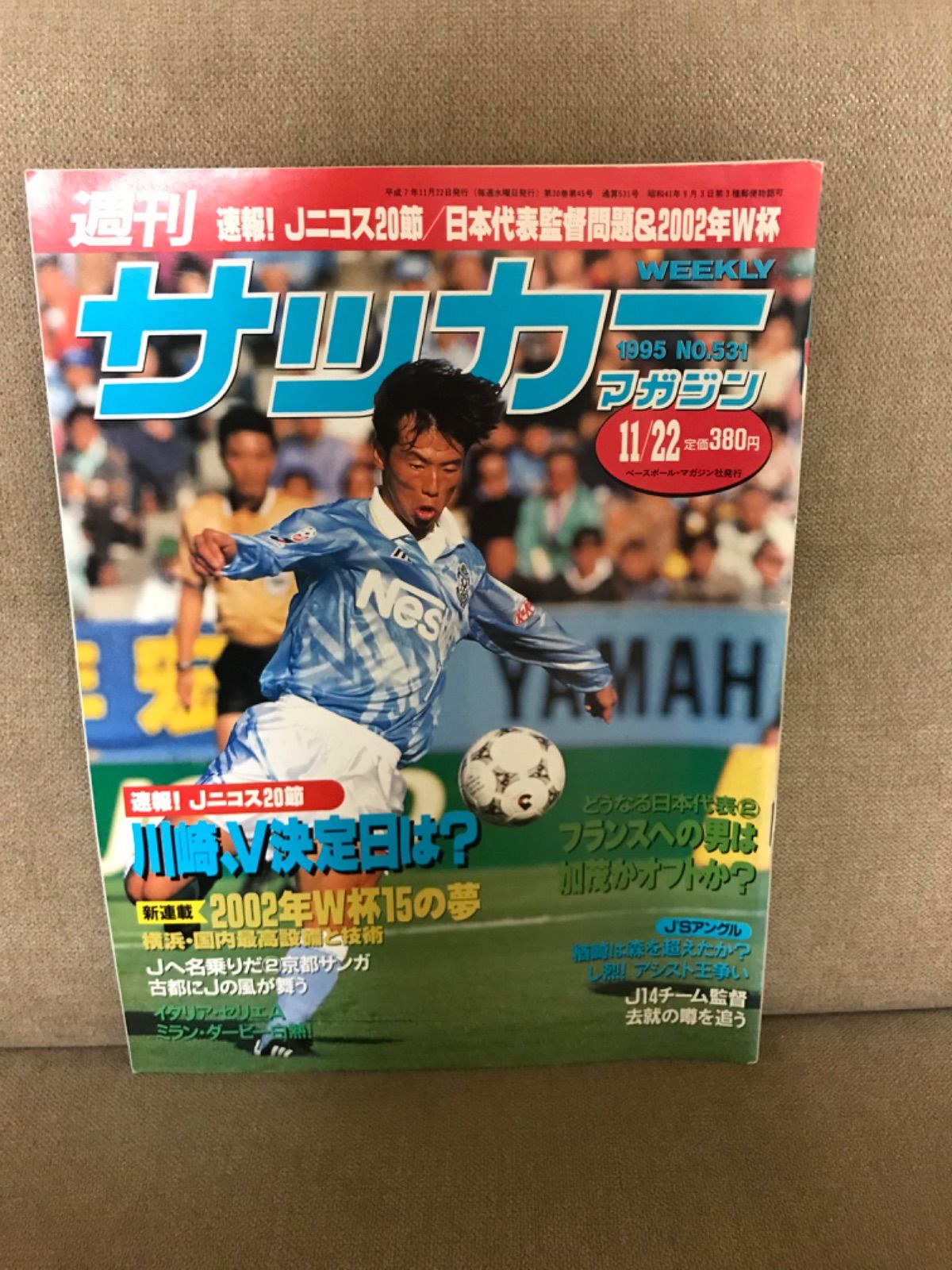 2002年W杯サッカー代表雑誌 - 趣味