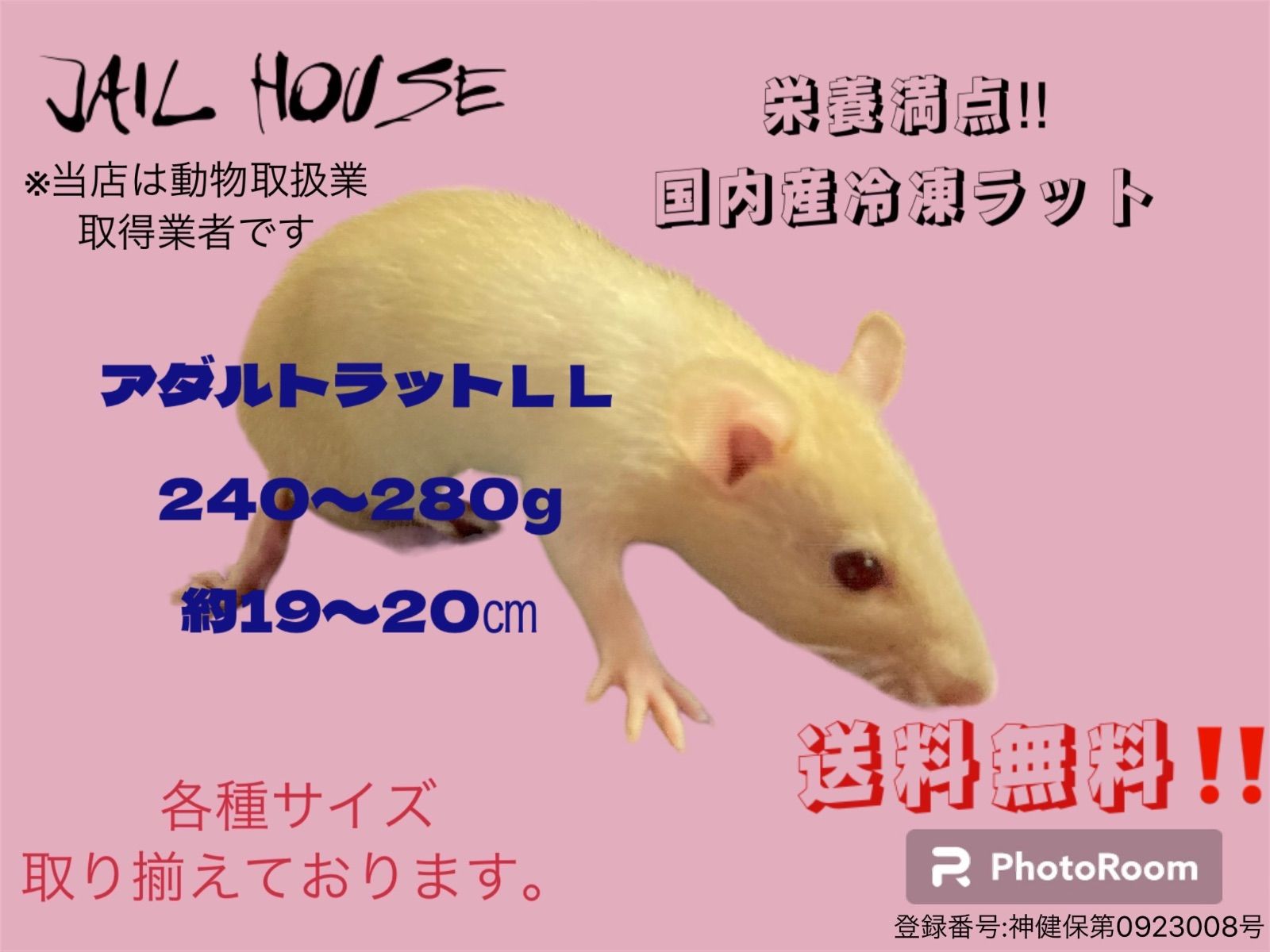 冷凍ラット 240~300g 30匹 冷凍ラット 240~300g 30匹 冷凍ラット 30