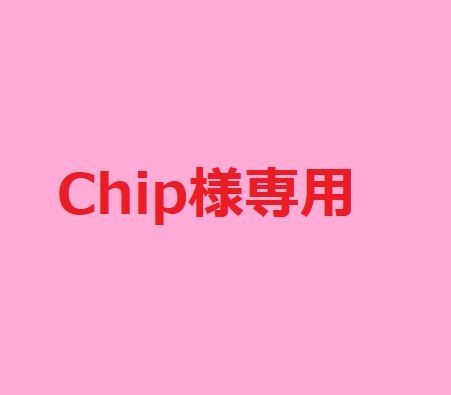 Chip様専用 - リスコ - メルカリ