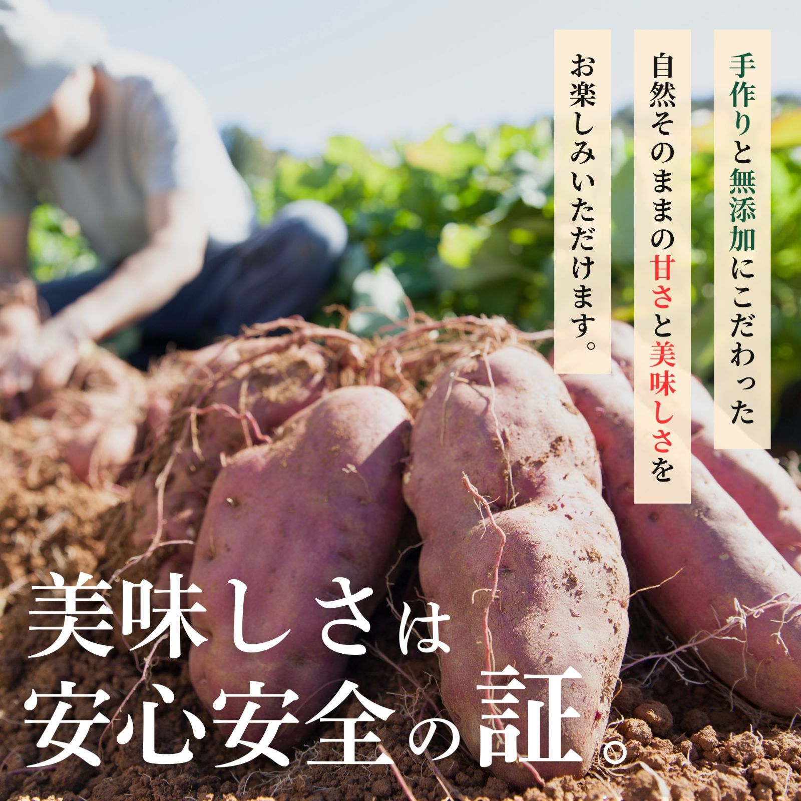 鹿児島県産 熟成 さつまいも 冷凍 焼き芋 2種【紅はるか/安納芋】1kg 無添加 蜜芋  さつまいも 干し芋 好きに 訳あり 美味しい 【冷凍】