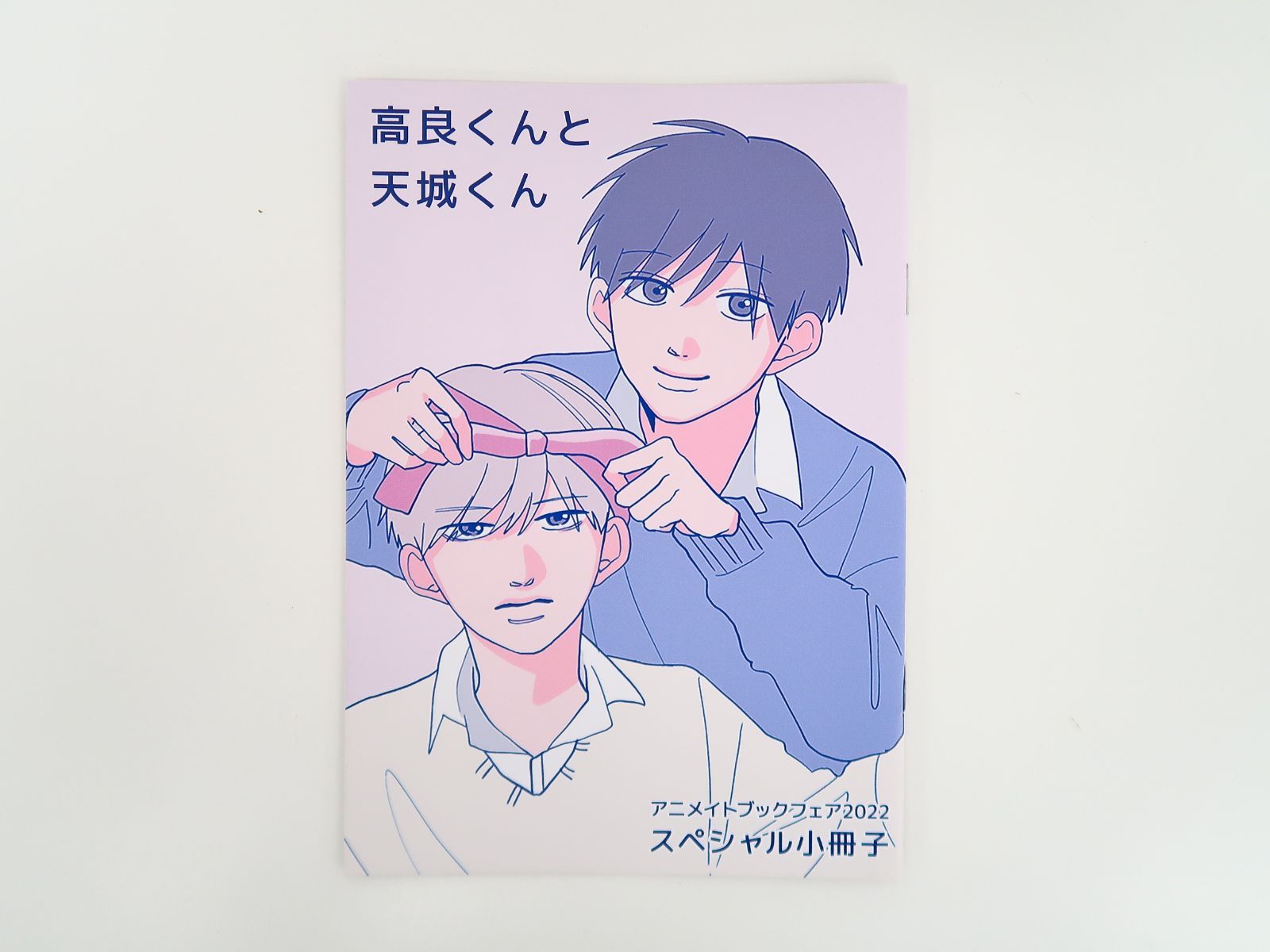 高良くんと天城くん アニメイトブックフェア2022 スペシャル小冊子