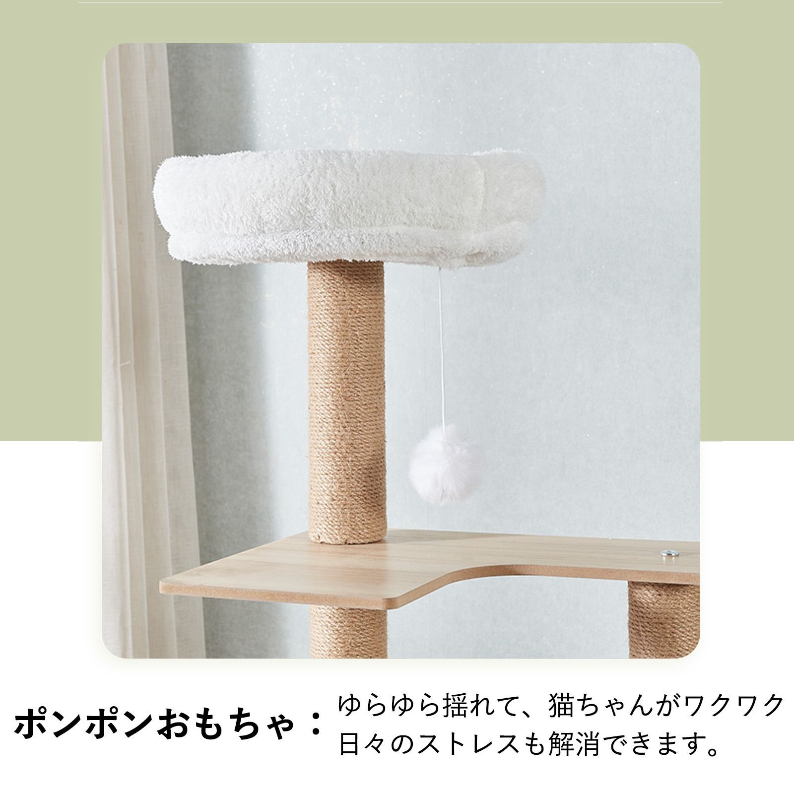 多頭飼い 運動不足解消