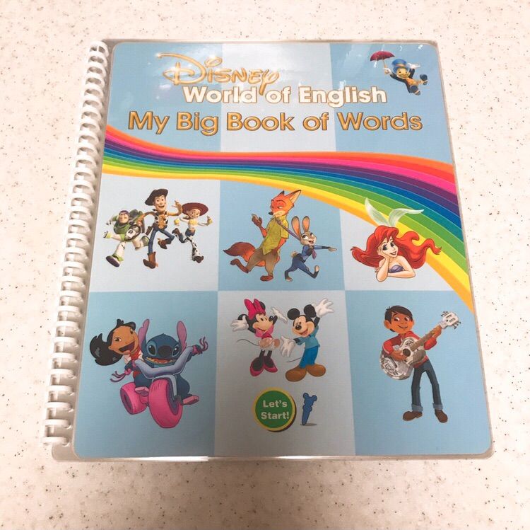 DWE ディズニー英語教材システム MY BIG BOOK OF WORDS - おもちゃ