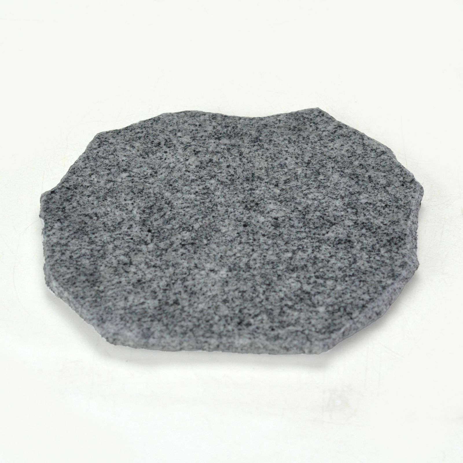 ビカクシダセット15種 エルサ、ギンカなど ビカクシダセット15種