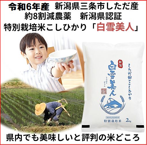 新米令和6年産 減農薬 新潟こしひかり白米10kg 新潟県三条市旧しただ村産 新潟県認証 特別栽培米100% グルテンフリー 送料無料 - メルカリ