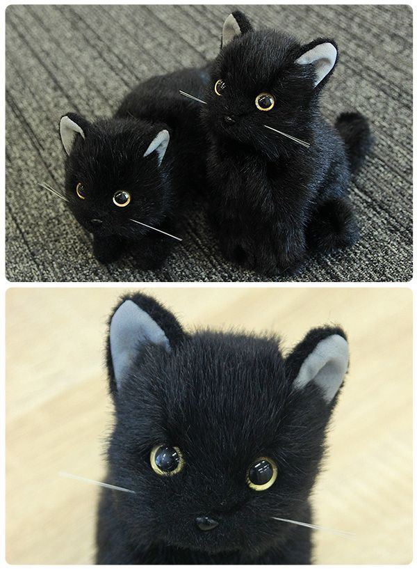 クロネコ立ち】日本製 リアル 猫のぬいぐるみ 子猫 20cm(リアル