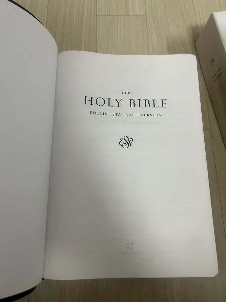 英語聖書 ビッグレター