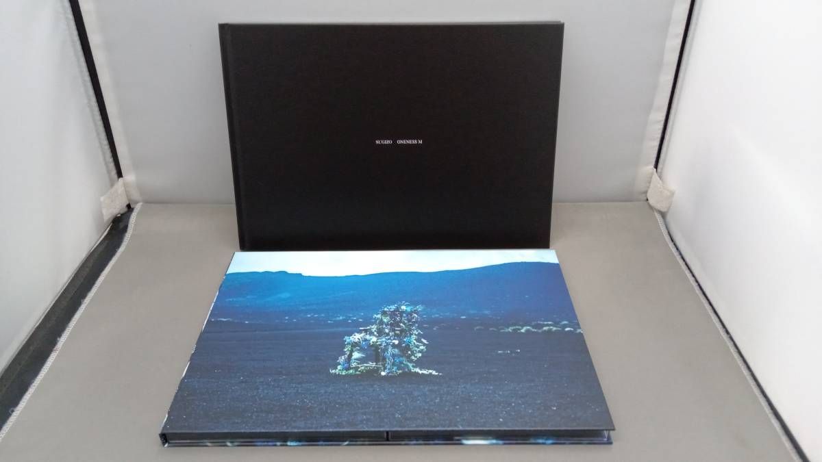 SUGIZO(LUNA SEA) CD ONENESS M(初回限定盤)(2SHM-CD) - メルカリ