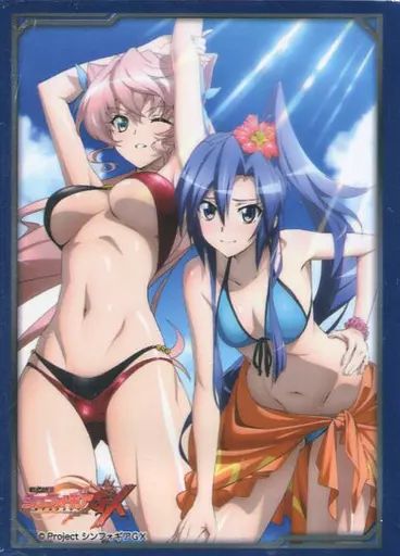 ブシロード スリーブコレクションエクストラ Vol.275 戦姫絶唱シンフォギアAXZ 『翼&amp;マリア』 z2zed1b Amazon.co.jp: ブシロード スリーブコレクションエクストラ Vol