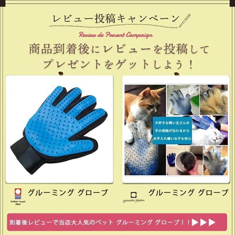 ショルダー