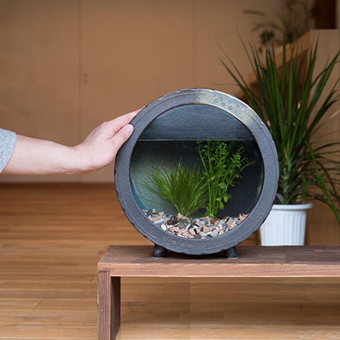 丸水槽・大（すす竹茶） 日本製 信楽焼 金魚 鉢 モダン おしゃれ