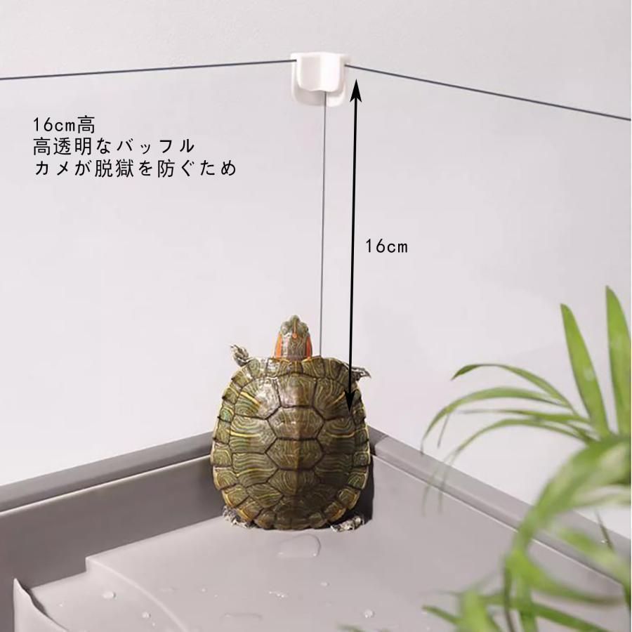 飼育ケース