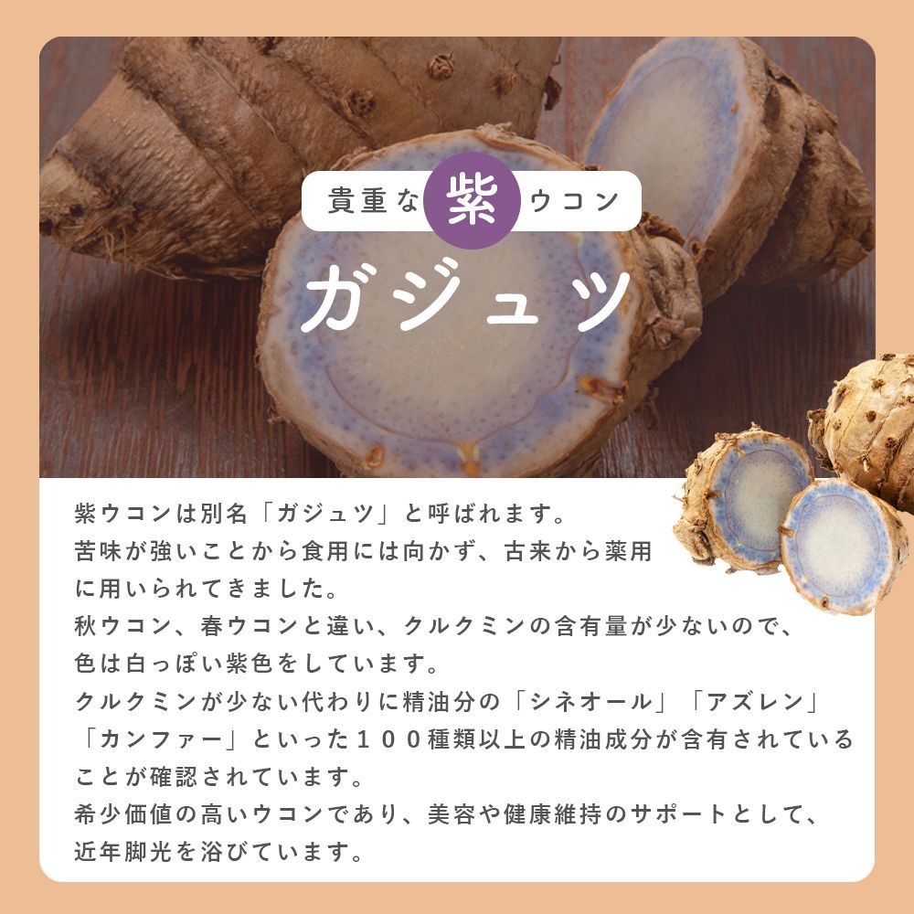 秋ウコン 紫ウコン