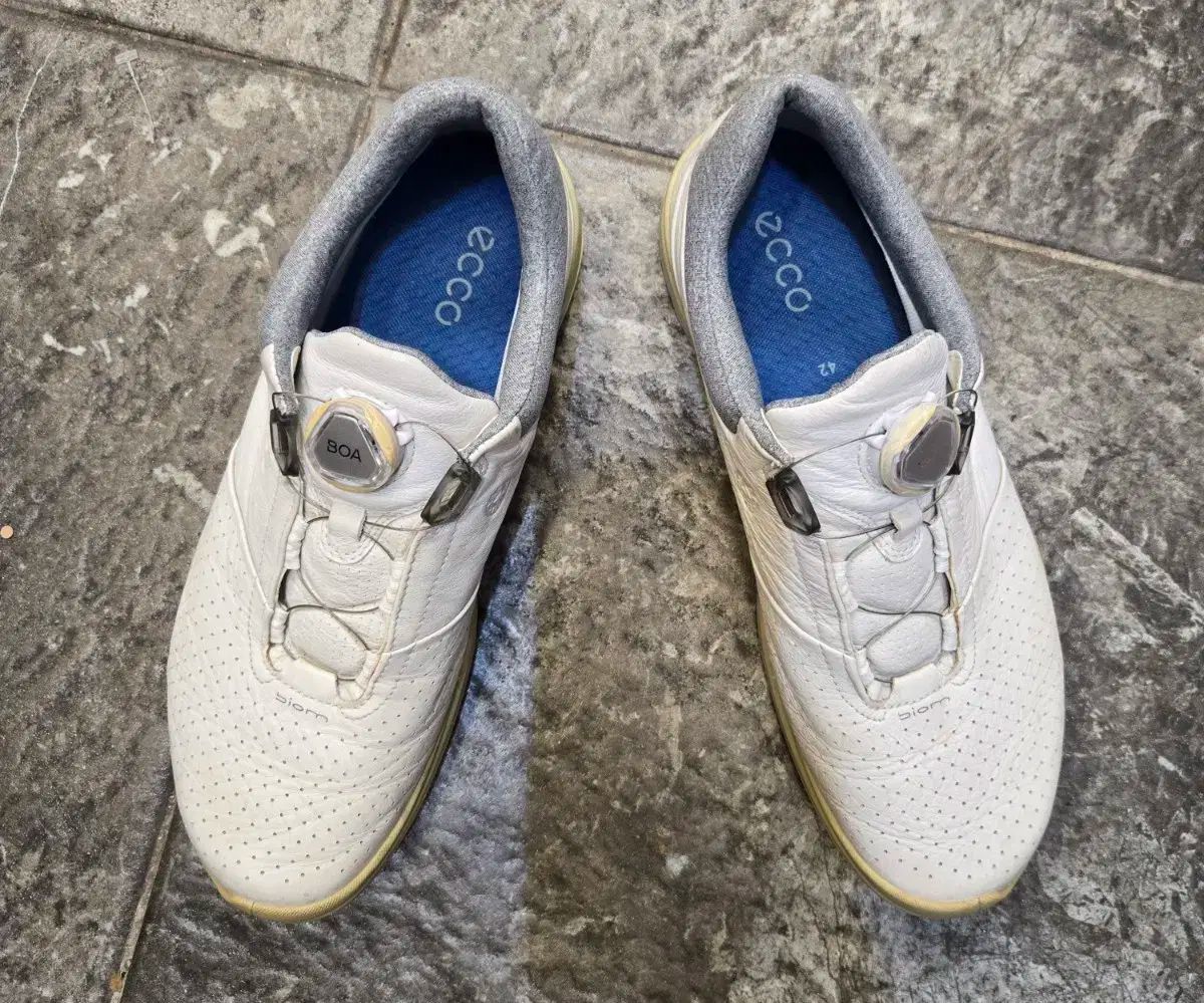 エコー] ゴルフシューズ ゴルフ バイオム エイチフォー レディース