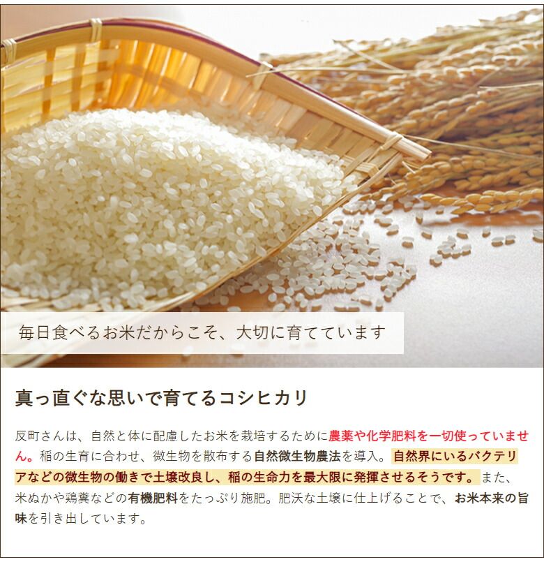 古い漢白玉 ラクダ彫刻 和田玉 （▽鴻▽ 清朝時代 和田玉 白玉彫