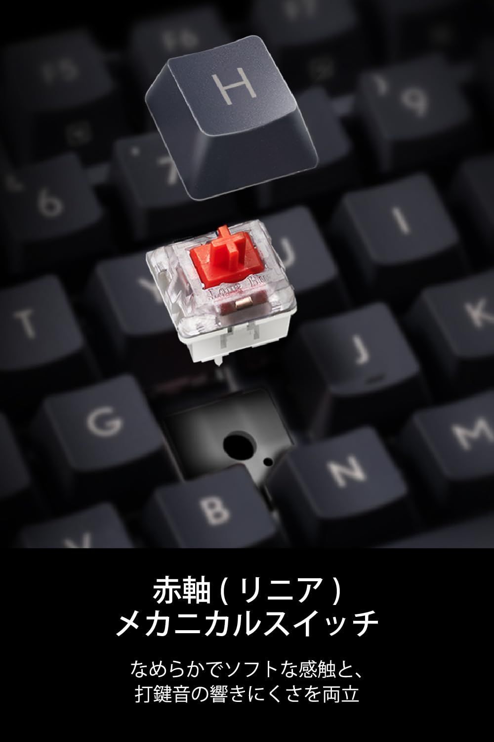 エレコム メカニカルキーボード Leggero 有線 テンキーレス Nキー