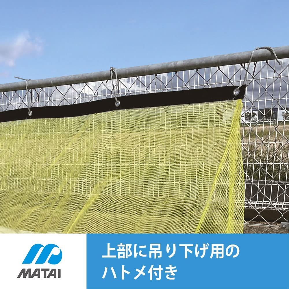 日本マタイ Nihon