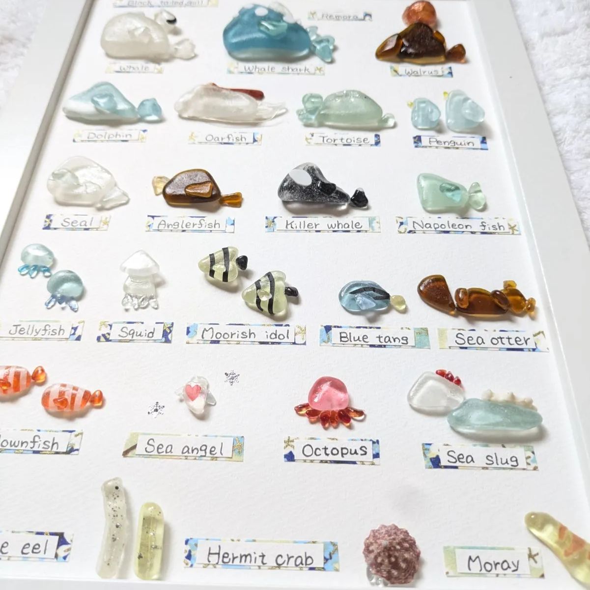 Aquarium】 シーグラスアート 夏 海の生き物 水族館 生き物 レアカラー  