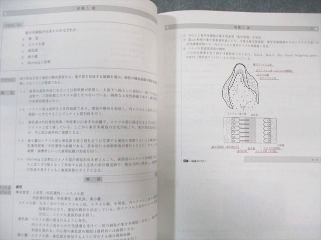 実践2023 全14冊 麻布デンタル 歯科医師国家試験 美品 【公式通販】